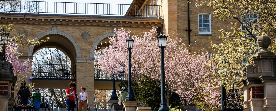 Two people talk at the top of stairs outside a Tufts building surrounding by flowering trees